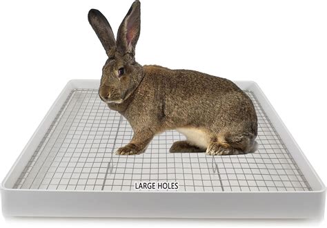 Oncpcare 22x18 Super Large Rabbit Litter Box with 2 Grates 